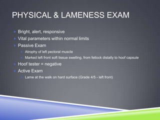 PHYSICAL & LAMENESS EXAM
 Bright, alert, responsive
 Vital parameters within normal limits
 Passive Exam
    Atrophy of left pectoral muscle
    Marked left front soft tissue swelling, from fetlock distally to hoof capsule

 Hoof tester = negative
 Active Exam
    Lame at the walk on hard surface (Grade 4/5 - left front)
 
