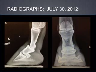 RADIOGRAPHS: JULY 30, 2012
 