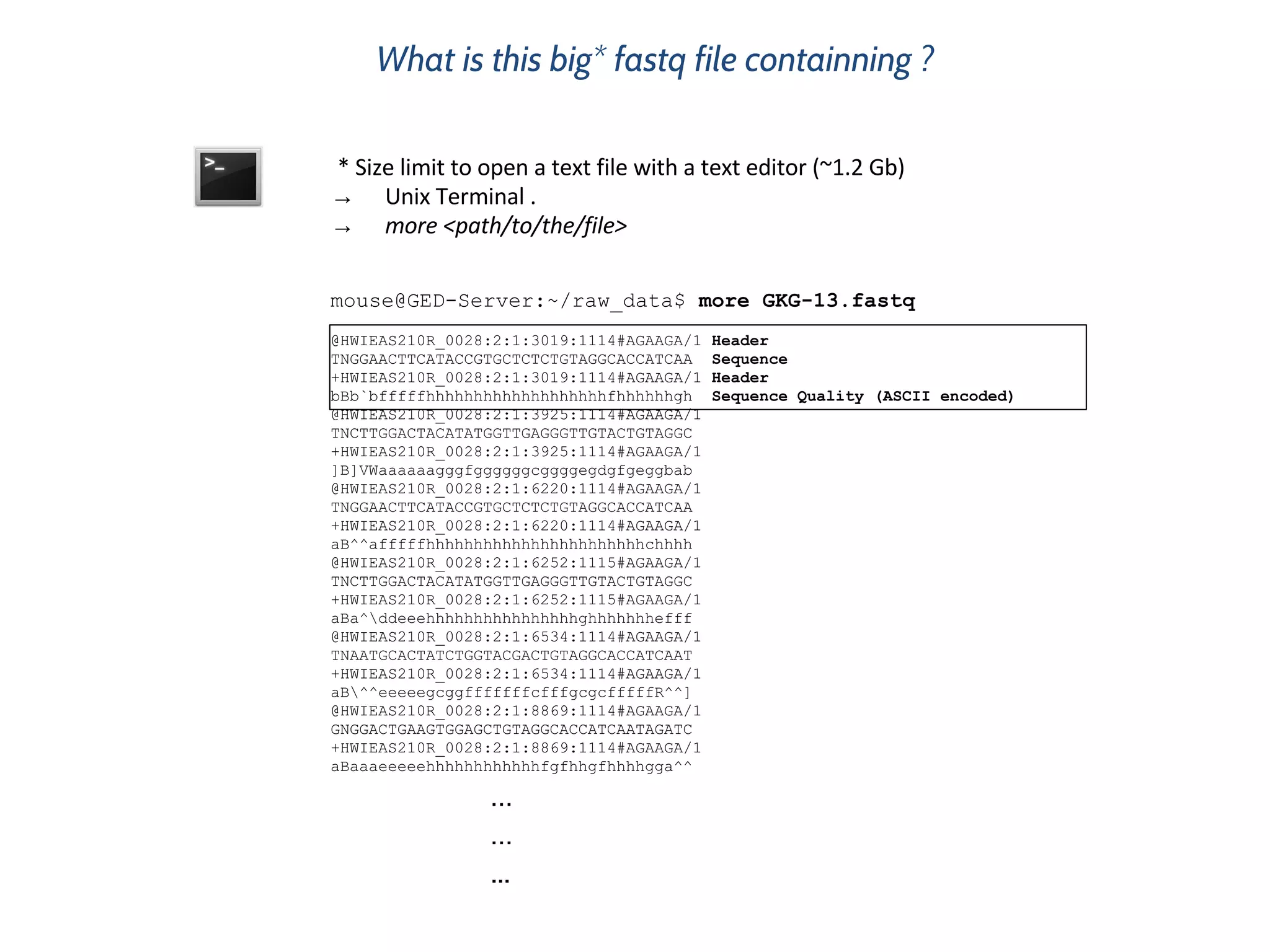 What is this big* fastq file containning ?
→
→
…
…
...
mouse@GED-Server:~/raw_data$ more GKG-13.fastq
@HWIEAS210R_0028:2:1:3019:1114#AGAAGA/1 Header
TNGGAACTTCATACCGTGCTCTCTGTAGGCACCATCAA Sequence
+HWIEAS210R_0028:2:1:3019:1114#AGAAGA/1 Header
bBb`bfffffhhhhhhhhhhhhhhhhhhhfhhhhhhgh Sequence Quality (ASCII encoded)
@HWIEAS210R_0028:2:1:3925:1114#AGAAGA/1
TNCTTGGACTACATATGGTTGAGGGTTGTACTGTAGGC
+HWIEAS210R_0028:2:1:3925:1114#AGAAGA/1
]B]VWaaaaaagggfggggggcggggegdgfgeggbab
@HWIEAS210R_0028:2:1:6220:1114#AGAAGA/1
TNGGAACTTCATACCGTGCTCTCTGTAGGCACCATCAA
+HWIEAS210R_0028:2:1:6220:1114#AGAAGA/1
aB^^afffffhhhhhhhhhhhhhhhhhhhhhhhchhhh
@HWIEAS210R_0028:2:1:6252:1115#AGAAGA/1
TNCTTGGACTACATATGGTTGAGGGTTGTACTGTAGGC
+HWIEAS210R_0028:2:1:6252:1115#AGAAGA/1
aBa^ddeeehhhhhhhhhhhhhhhhghhhhhhhefff
@HWIEAS210R_0028:2:1:6534:1114#AGAAGA/1
TNAATGCACTATCTGGTACGACTGTAGGCACCATCAAT
+HWIEAS210R_0028:2:1:6534:1114#AGAAGA/1
aB^^eeeeegcggfffffffcfffgcgcfffffR^^]
@HWIEAS210R_0028:2:1:8869:1114#AGAAGA/1
GNGGACTGAAGTGGAGCTGTAGGCACCATCAATAGATC
+HWIEAS210R_0028:2:1:8869:1114#AGAAGA/1
aBaaaeeeeehhhhhhhhhhhhfgfhhgfhhhhgga^^
 
