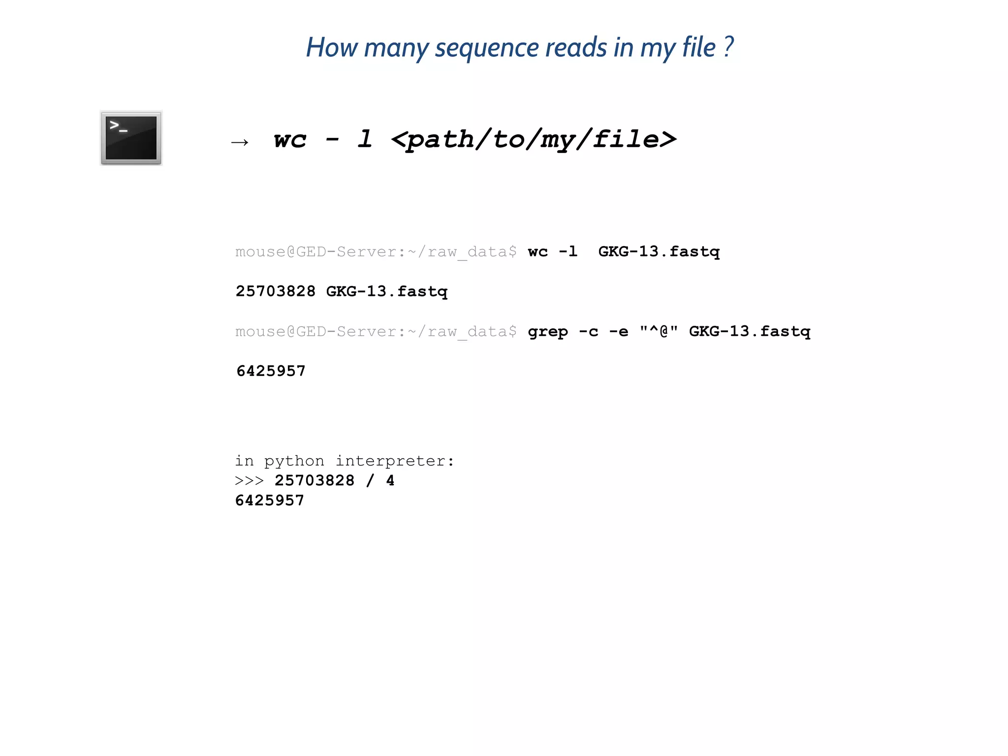 How many sequence reads in my file ?
→ wc - l <path/to/my/file>
mouse@GED-Server:~/raw_data$ wc -l GKG-13.fastq
25703828 GKG-13.fastq
mouse@GED-Server:~/raw_data$ grep -c -e "^@" GKG-13.fastq
6425957
in python interpreter:
>>> 25703828 / 4
6425957
 