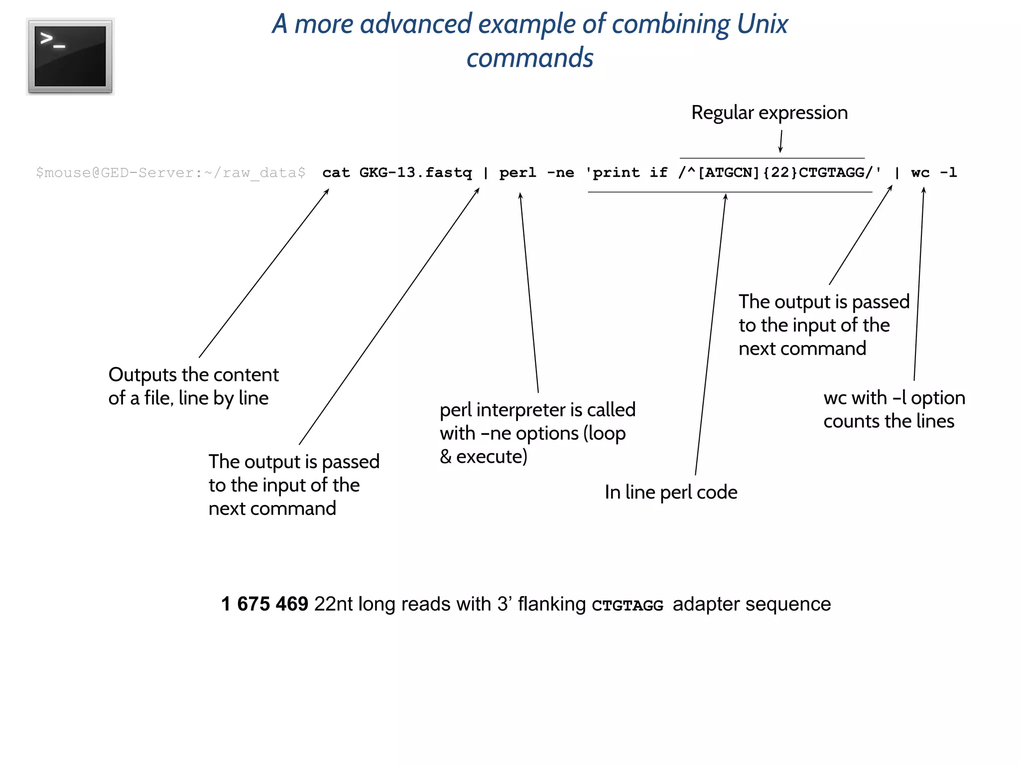 $mouse@GED-Server:~/raw_data$ cat GKG-13.fastq | perl -ne 'print if /^[ATGCN]{22}CTGTAGG/' | wc -l
Outputs the content
of a file, line by line
The output is passed
to the input of the
next command
perl interpreter is called
with –ne options (loop
& execute)
In line perl code
Regular expression
The output is passed
to the input of the
next command
wc with –l option
counts the lines
A more advanced example of combining Unix
commands
1 675 469 22nt long reads with 3’ flanking CTGTAGG adapter sequence
 