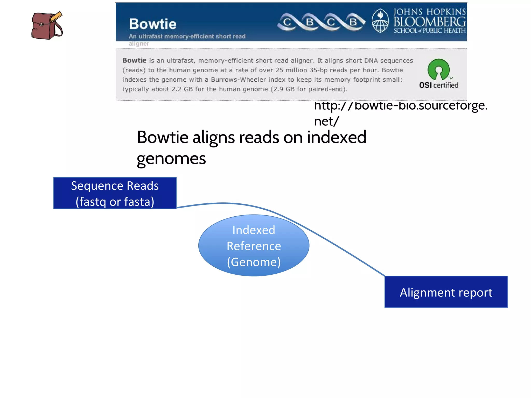 http://bowtie-bio.sourceforge.
net/
Bowtie aligns reads on indexed
genomes
 