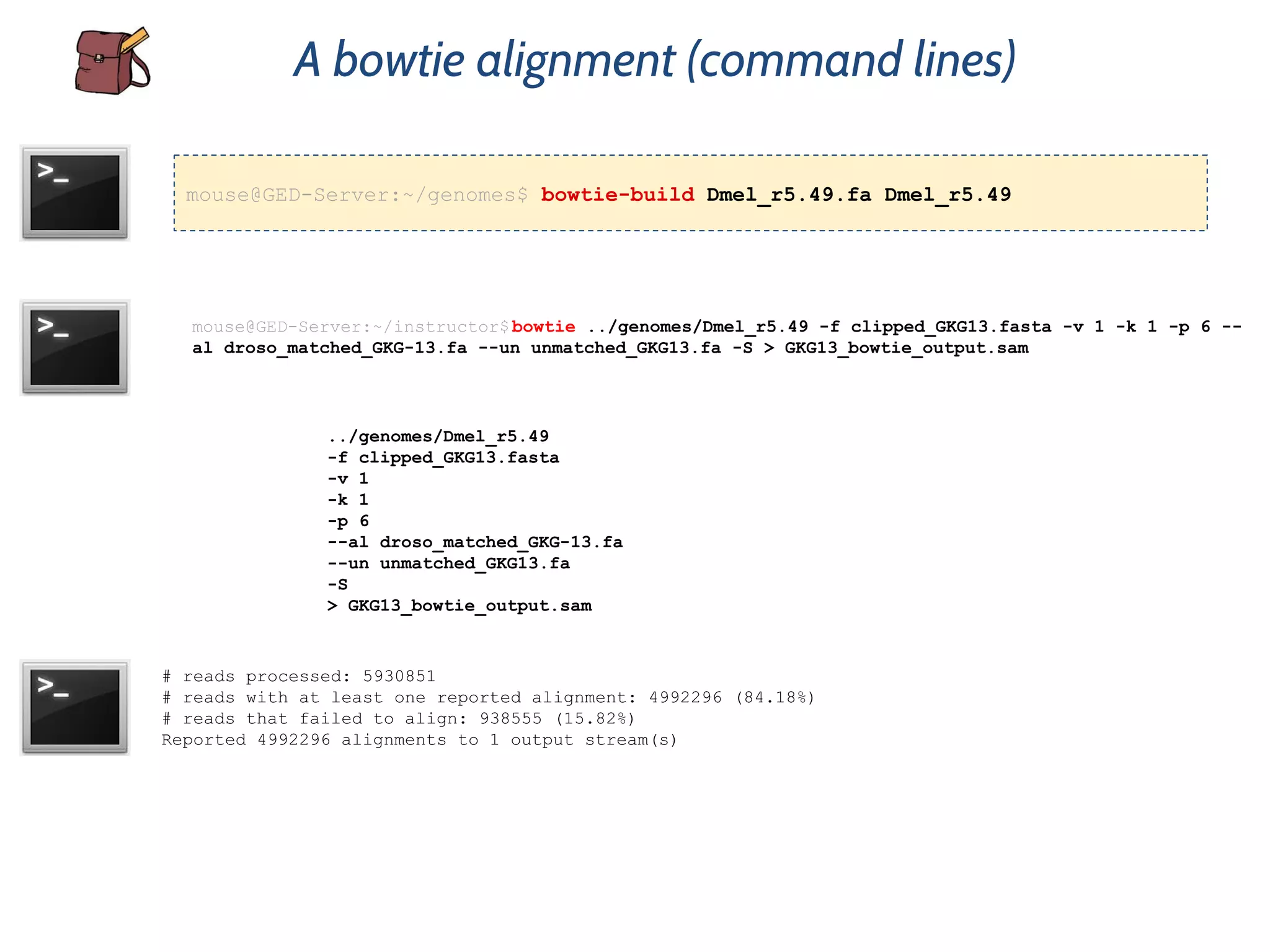 mouse@GED-Server:~/instructor$bowtie ../genomes/Dmel_r5.49 -f clipped_GKG13.fasta -v 1 -k 1 -p 6 --
al droso_matched_GKG-13.fa --un unmatched_GKG13.fa -S > GKG13_bowtie_output.sam
A bowtie alignment (command lines)
../genomes/Dmel_r5.49
-f clipped_GKG13.fasta
-v 1
-k 1
-p 6
--al droso_matched_GKG-13.fa
--un unmatched_GKG13.fa
-S
> GKG13_bowtie_output.sam
# reads processed: 5930851
# reads with at least one reported alignment: 4992296 (84.18%)
# reads that failed to align: 938555 (15.82%)
Reported 4992296 alignments to 1 output stream(s)
mouse@GED-Server:~/genomes$ bowtie-build Dmel_r5.49.fa Dmel_r5.49
 