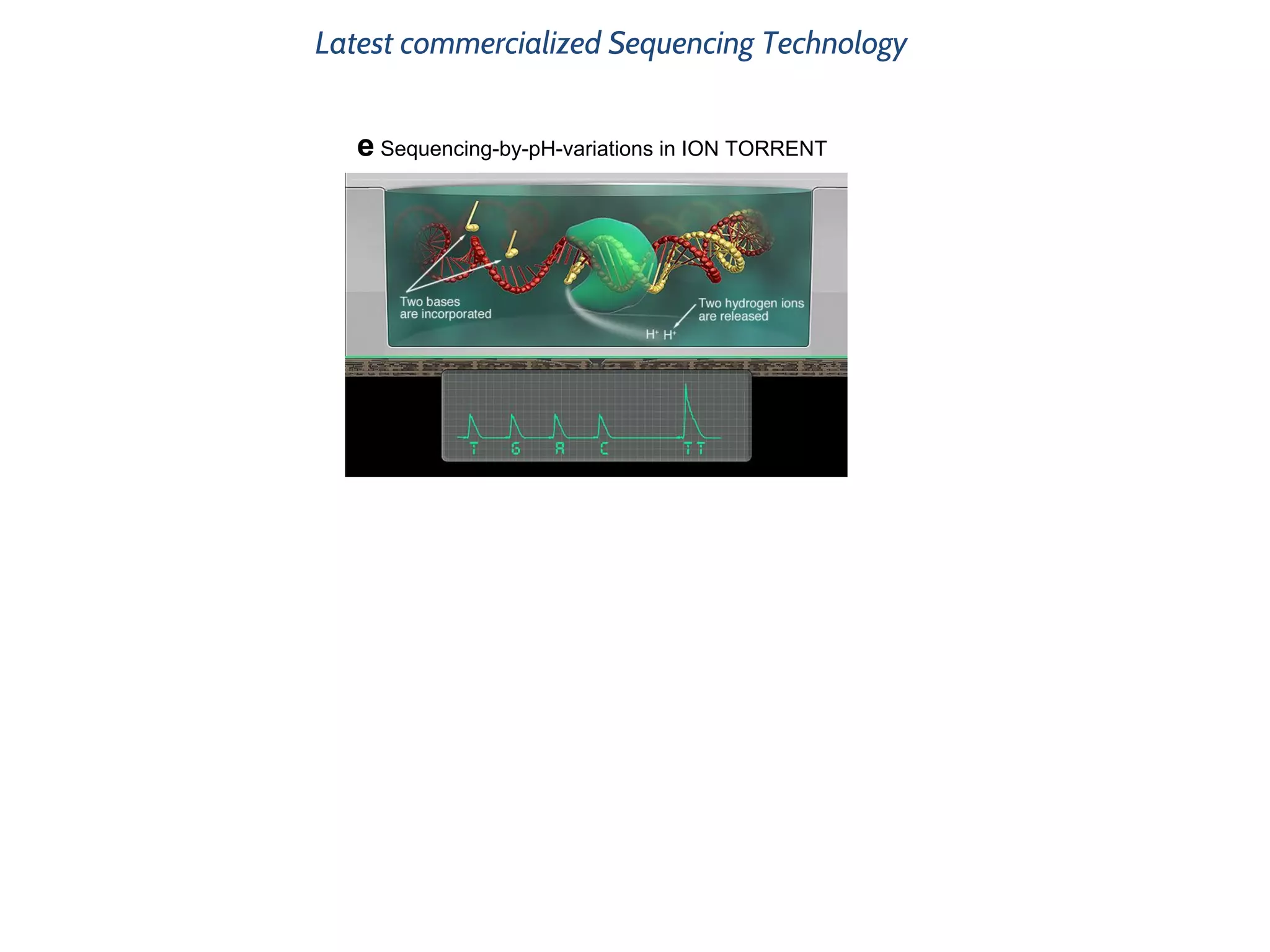 Latest commercialized Sequencing Technology
e Sequencing-by-pH-variations in ION TORRENT
 