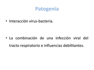 Patogenia
• Interacción virus-bacteria.
• La combinación de una infección viral del
tracto respiratorio e influencias debilitantes.
 