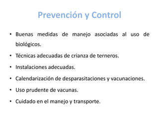 Prevención y Control
• Buenas medidas de manejo asociadas al uso de
biológicos.
• Técnicas adecuadas de crianza de terneros.
• Instalaciones adecuadas.
• Calendarización de desparasitaciones y vacunaciones.
• Uso prudente de vacunas.
• Cuidado en el manejo y transporte.
 