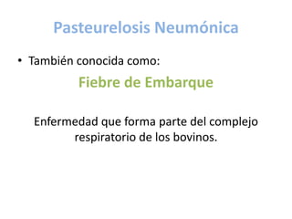Pasteurelosis Neumónica
• También conocida como:
Fiebre de Embarque
Enfermedad que forma parte del complejo
respiratorio de los bovinos.
 