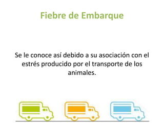 Fiebre de Embarque
Se le conoce así debido a su asociación con el
estrés producido por el transporte de los
animales.
 