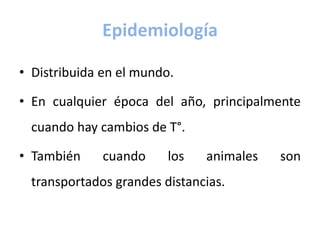 Epidemiología
• Distribuida en el mundo.
• En cualquier época del año, principalmente
cuando hay cambios de T°.
• También cuando los animales son
transportados grandes distancias.
 
