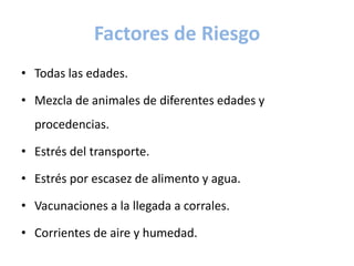 Factores de Riesgo
• Todas las edades.
• Mezcla de animales de diferentes edades y
procedencias.
• Estrés del transporte.
• Estrés por escasez de alimento y agua.
• Vacunaciones a la llegada a corrales.
• Corrientes de aire y humedad.
 