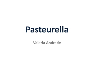 Pasteurella
Valeria Andrade
 