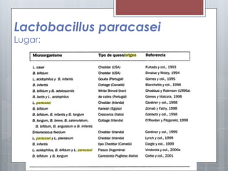 Lactobacillus paracasei
Lugar:
 
