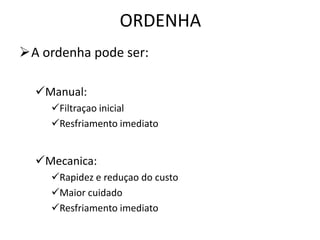 ORDENHA
A ordenha pode ser:

  Manual:
    Filtraçao inicial
    Resfriamento imediato


  Mecanica:
    Rapidez e reduçao do custo
    Maior cuidado
    Resfriamento imediato
 