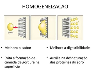 HOMOGENEIZAÇAO




• Melhora o sabor        • Melhora a digestibilidade

• Evita a formação de    • Auxilia na desnaturação
  camada de gordura na     das proteínas do soro
  superfície
 