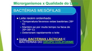 Microrganismos x Qualidade do Leite
4
 