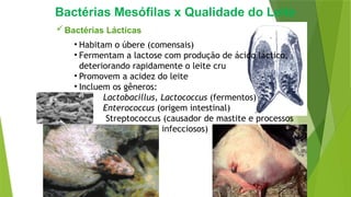 Bactérias Mesófilas x Qualidade do Leite
Bactérias Lácticas
• Habitam o úbere (comensais)
• Fermentam a lactose com produção de ácido láctico,
deteriorando rapidamente o leite cru
• Promovem a acidez do leite
• Incluem os gêneros:
Lactobacillus, Lactococcus (fermentos)
Enterococcus (origem intestinal)
Streptococcus (causador de mastite e processos
infecciosos)
5
 