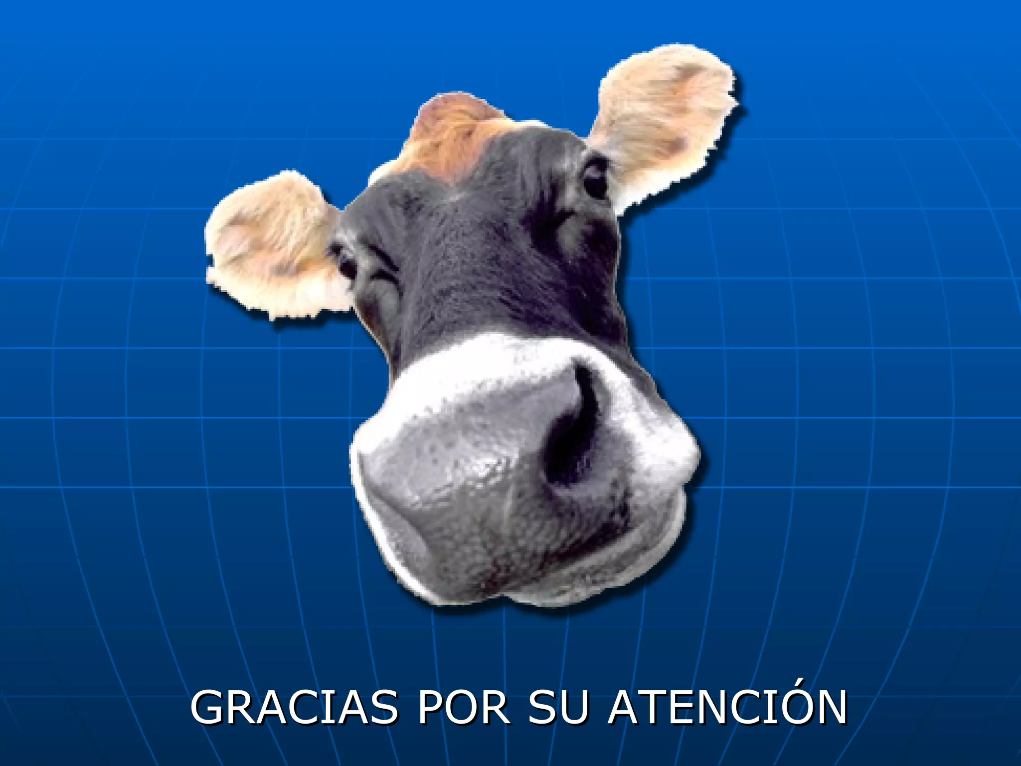 GRACIAS POR SU ATENCIÓN