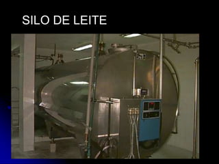 SILO DE LEITE

 