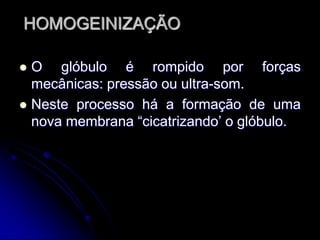 HOMOGEINIZAÇÃO
O glóbulo é rompido por forças
mecânicas: pressão ou ultra-som.
 Neste processo há a formação de uma
nova membrana “cicatrizando’ o glóbulo.


 