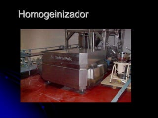 Homogeinizador

 