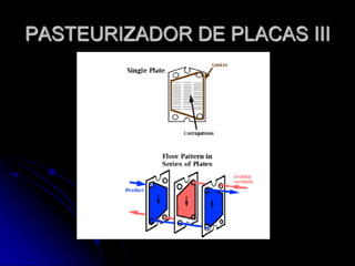 PASTEURIZADOR DE PLACAS III

 