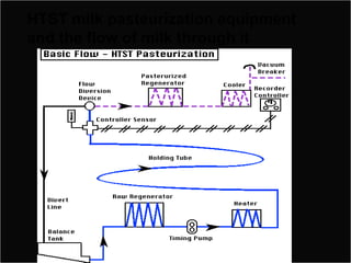 HTST milk pasteurization equipment
and the flow of milk through it

 