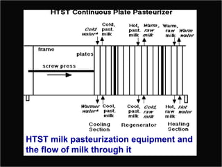 HTST milk pasteurization equipment and
the flow of milk through it

 