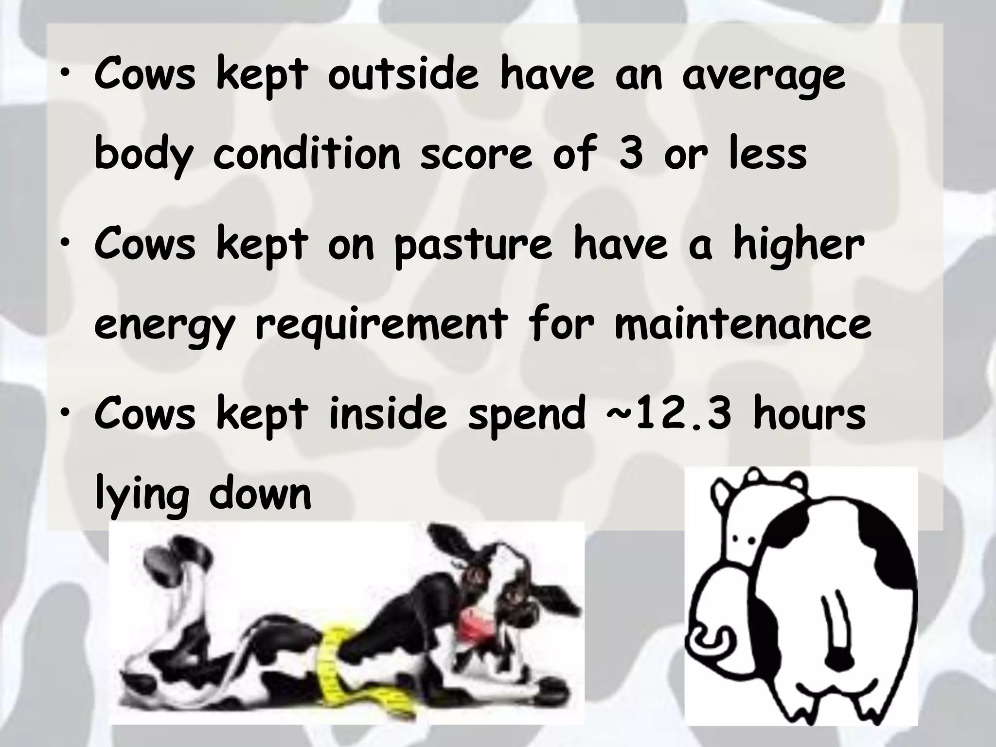 does-unpasteurized-milk-come-from-unpasturized-cows-ppt