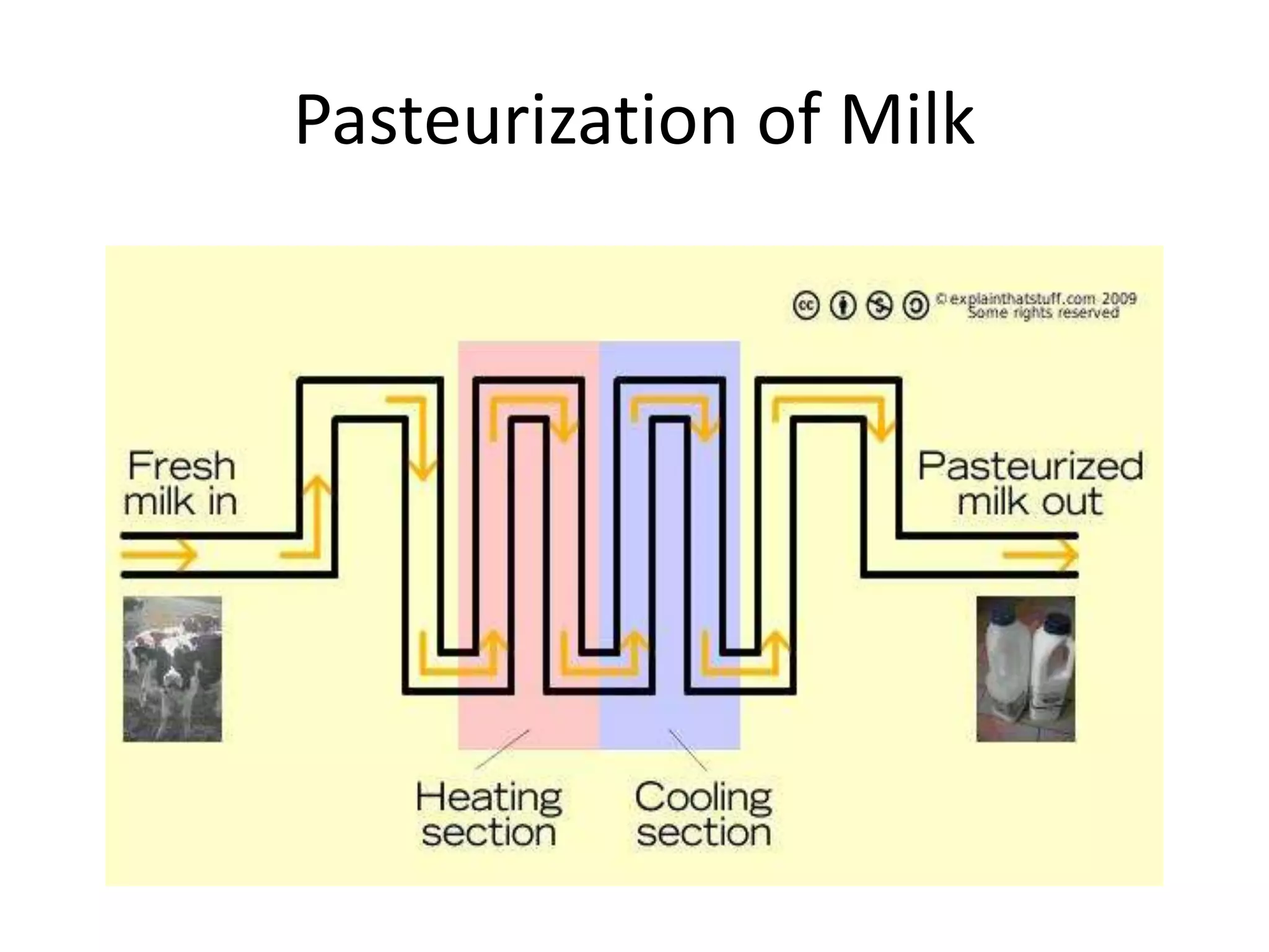 Pasteurization of Milk
 