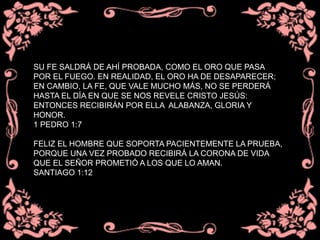 SU FE SALDRÁ DE AHÍ PROBADA, COMO EL ORO QUE PASA
POR EL FUEGO. EN REALIDAD, EL ORO HA DE DESAPARECER;
EN CAMBIO, LA FE, QUE VALE MUCHO MÁS, NO SE PERDERÁ
HASTA EL DÍA EN QUE SE NOS REVELE CRISTO JESÚS:
ENTONCES RECIBIRÁN POR ELLA ALABANZA, GLORIA Y
HONOR.
1 PEDRO 1:7
FELIZ EL HOMBRE QUE SOPORTA PACIENTEMENTE LA PRUEBA,
PORQUE UNA VEZ PROBADO RECIBIRÁ LA CORONA DE VIDA
QUE EL SEÑOR PROMETIÓ A LOS QUE LO AMAN.
SANTIAGO 1:12
 