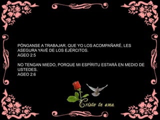 PÓNGANSE A TRABAJAR, QUE YO LOS ACOMPAÑARÉ, LES
ASEGURA YAVÉ DE LOS EJÉRCITOS.
AGEO 2:5
NO TENGAN MIEDO, PORQUE MI ESPÍRITU ESTARÁ EN MEDIO DE
USTEDES.
AGEO 2:6
 