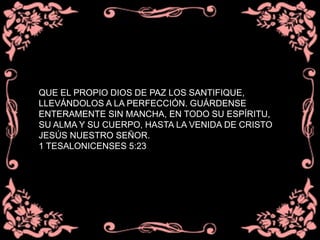 QUE EL PROPIO DIOS DE PAZ LOS SANTIFIQUE,
LLEVÁNDOLOS A LA PERFECCIÓN. GUÁRDENSE
ENTERAMENTE SIN MANCHA, EN TODO SU ESPÍRITU,
SU ALMA Y SU CUERPO, HASTA LA VENIDA DE CRISTO
JESÚS NUESTRO SEÑOR.
1 TESALONICENSES 5:23
 