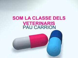 SOM LA CLASSE DELS VETERINARIS PAU CARRION 