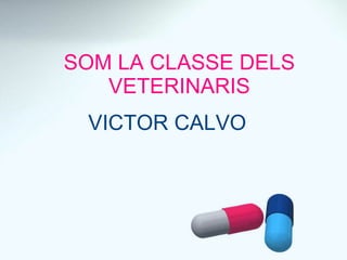 SOM LA CLASSE DELS VETERINARIS VICTOR CALVO 