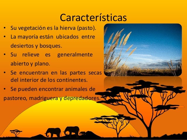 Resultado de imagen para caracteristicas de los pastizales