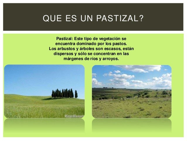 Cual Es El Clima De Los Pastizales es.slideshare.net