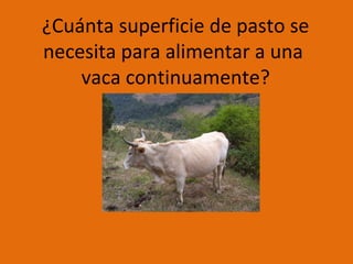 ¿Cuánta superficie de pasto se
necesita para alimentar a una
vaca continuamente?

 