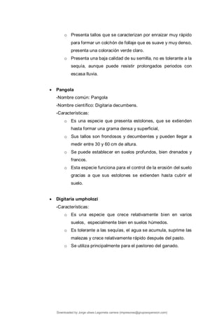 o Presenta tallos que se caracterizan por enraizar muy rápido
para formar un colchón de follaje que es suave y muy denso,
presenta una coloración verde claro.
o Presenta una baja calidad de su semilla, no es tolerante a la
sequía, aunque puede resistir prolongados periodos con
escasa lluvia.
 Pangola
-Nombre común: Pangola
-Nombre científico: Digitaria decumbens.
-Características:
o Es una especie que presenta estolones, que se extienden
hasta formar una grama densa y superficial,
o Sus tallos son frondosos y decumbentes y pueden llegar a
medir entre 30 y 60 cm de altura.
o Se puede establecer en suelos profundos, bien drenados y
francos.
o Esta especie funciona para el control de la erosión del suelo
gracias a que sus estolones se extienden hasta cubrir el
suelo.
 Digitaria umpholozi
-Características:
o Es una especie que crece relativamente bien en varios
suelos, especialmente bien en suelos húmedos.
o Es tolerante a las sequías, el agua se acumula, suprime las
malezas y crece relativamente rápido después del pasto.
o Se utiliza principalmente para el pastoreo del ganado.
Downloaded by Jorge ulises Legorreta carrera (impresoras@grupoexpansion.com)
lOMoARcPSD|12540030
 