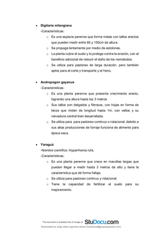  Digitaria milangiana
-Características:
o Es una especie perenne que forma matas con tallos erectos
que pueden medir entre 60 y 150cm de altura.
o Se propaga lentamente por medio de estolones.
o La planta cubre el suelo y lo protege contra la erosión, con el
beneficio adicional de reducir el daño de los nematodos.
o Se utiliza para pastoreo de larga duración, pero también
aptos para el corte y transporte y el heno.
 Andropogon gayanus
-Características:
o Es una planta perenne que presenta crecimiento erecto,
logrando una altura hasta los 3 metros
o Sus tallos son delgados y fibrosos, con hojas en forma de
lanza que miden de longitud hasta 1m, con vellos y su
nervadura central bien desarrollada.
o Se utiliza para para pastoreo continuo o rotacional, debido a
sus altas producciones de forraje funciona de alimento para
época seca.
 Yaraguá
-Nombre científico: Hyparrhenia rufa.
-Características:
o Es una planta perenne que crece en macollas largas que
pueden llegar a medir hasta 3 metros de alto y tiene la
característica que dé forma follaje.
o Se utiliza para pastoreo continuo y rotacional.
o Tiene la capacidad de fertilizar el suelo para su
mejoramiento.
Downloaded by Jorge ulises Legorreta carrera (impresoras@grupoexpansion.com)
lOMoARcPSD|12540030
 