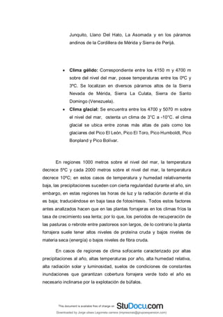 Junquito, Llano Del Hato, La Asomada y en los páramos
andinos de la Cordillera de Mérida y Sierra de Perijá.
 Clima gélido: Correspondiente entre los 4150 m y 4700 m
sobre del nivel del mar, posee temperaturas entre los 0ºC y
3ºC. Se localizan en diversos páramos altos de la Sierra
Nevada de Mérida, Sierra La Culata, Sierra de Santo
Domingo (Venezuela).
 Clima glacial: Se encuentra entre los 4700 y 5070 m sobre
el nivel del mar, ostenta un clima de 3°C a -10°C. el clima
glacial se ubica entre zonas más altas de país como los
glaciares del Pico El León, Pico El Toro, Pico Humboldt, Pico
Bonpland y Pico Bolívar.
En regiones 1000 metros sobre el nivel del mar, la temperatura
decrece 5ºC y cada 2000 metros sobre el nivel del mar, la temperatura
decrece 10ºC; en estos casos de temperatura y humedad relativamente
baja, las precipitaciones suceden con cierta regularidad durante el año, sin
embargo, en estas regiones las horas de luz y la radiación durante el día
es baja; traduciéndose en baja tasa de fotosíntesis. Todos estos factores
antes analizados hacen que en las plantas forrajeras en los climas fríos la
tasa de crecimiento sea lenta; por lo que, los periodos de recuperación de
las pasturas o rebrote entre pastoreos son largos, de lo contrario la planta
forrajera suele tener altos niveles de proteína cruda y bajos niveles de
materia seca (energía) o bajos niveles de fibra cruda.
En casos de regiones de clima sofocante caracterizado por altas
precipitaciones al año, altas temperaturas por año, alta humedad relativa,
alta radiación solar y luminosidad, suelos de condiciones de constantes
inundaciones que garantizan cobertura forrajera verde todo el año es
necesario inclinarse por la explotación de búfalos.
Downloaded by Jorge ulises Legorreta carrera (impresoras@grupoexpansion.com)
lOMoARcPSD|12540030
 