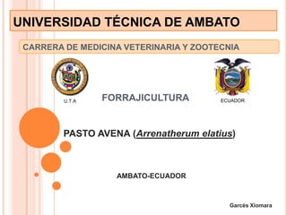 UNIVERSIDAD TÉCNICA DE AMBATO
CARRERA DE MEDICINA VETERINARIA Y ZOOTECNIA

U.T.A

FORRAJICULTURA

ECUADOR

PASTO AVENA (Arrenatherum elatius)

AMBATO-ECUADOR

Garcés Xiomara

 