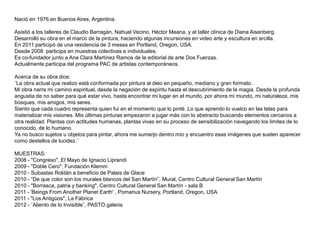 Nació en 1976 en Buenos Aires, Argentina.

Asistió a los talleres de Claudio Barragán, Nahuel Vecino, Héctor Meana, y al taller clínica de Diana Aisenberg.
Desarrolló su obra en el marco de la pintura, haciendo algunas incursiones en video arte y escultura en arcilla.
En 2011 participó de una residencia de 3 meses en Portland, Oregon, USA.
Desde 2008 participa en muestras colectivas e individuales.
Es co-fundador junto a Ana Clara Martínez Ramos de la editorial de arte Dos Fuerzas.
Actualmente participa del programa PAC de artistas contemporáneos.

Acerca de su obra dice:
¨La obra actual que realizo está conformada por pintura al óleo en pequeño, mediano y gran formato.
Mi obra narra mi camino espiritual, desde la negación de espíritu hasta el descubrimiento de la magia. Desde la profunda
angustia de no saber para qué estar vivo, hasta encontrar mi lugar en el mundo, por ahora mi mundo, mi naturaleza, mis
bosques, mis amigos, mis seres.
Siento que cada cuadro representa quien fui en el momento que lo pinté. Lo que aprendo lo vuelco en las telas para
materializar mis visiones. Mis últimas pinturas empezaron a jugar más con lo abstracto buscando elementos cercanos a
otra realidad. Plantas con actitudes humanas, plantas vivas en su proceso de sensibilización navegando los limites de lo
conocido, de lo humano.
Ya no busco sujetos u objetos para pintar, ahora me sumerjo dentro mío y encuentro esas imágenes que suelen aparecer
como destellos de lucidez.¨

MUESTRAS:
2008 - "Congreso", El Mayo de Ignacio Liprandi
2009 - "Doble Cero", Fundación Klemm
2010 - Subastas Roldán a beneficio de Palais de Glace
2010 - “De que color son los murales blancos del San Martín”, Mural, Centro Cultural General San Martín
2010 - "Borrasca, patria y banking", Centro Cultural General San Martín - sala B
2011 - 'Beings From Another Planet Earth' , Pomarius Nursery, Portland, Oregon, USA
2011 - "Los Antigüos", La Fábrica
2012 - ¨Aliento de lo Invisible¨, PASTO galeria
 