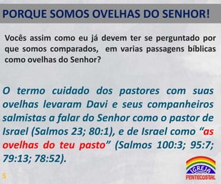 PORQUE SOMOS OVELHAS DO SENHOR!
Vocês assim como eu já devem ter se perguntado por
que somos comparados, em varias passagens bíblicas
como ovelhas do Senhor?

O termo cuidado dos pastores com suas
ovelhas levaram Davi e seus companheiros
salmistas a falar do Senhor como o pastor de
Israel (Salmos 23; 80:1), e de Israel como “as
ovelhas do teu pasto” (Salmos 100:3; 95:7;
79:13; 78:52).
5

 