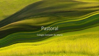Pastoral
Colegio Corazón de María
 