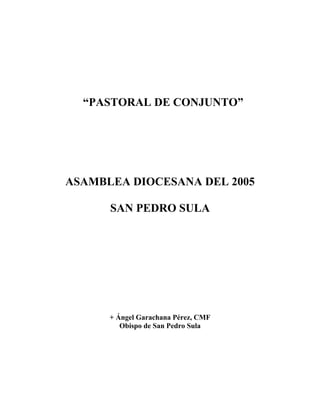 “PASTORAL DE CONJUNTO”

ASAMBLEA DIOCESANA DEL 2005
SAN PEDRO SULA

+ Ángel Garachana Pérez, CMF
Obispo de San Pedro Sula

 