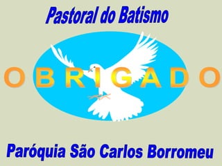 Pastoral do batismo barromeu