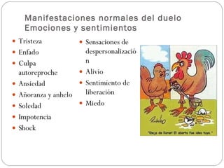 Manifestaciones normales del duelo Emociones y sentimientos Tristeza Enfado Culpa autoreproche Ansiedad Añoranza y anhelo Soledad Impotencia Shock Sensaciones de despersonalización Alivio Sentimiento de liberación Miedo 