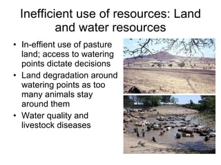 Resource utilization and managing conflict in the pastoral community of Ethiopia 