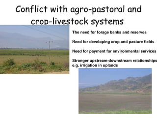 Resource utilization and managing conflict in the pastoral community of Ethiopia 