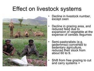 Resource utilization and managing conflict in the pastoral community of Ethiopia 